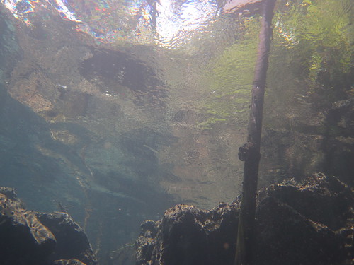 water underwater florida jackson springs marianna aquifer merrittsmillpond shangrilaspring