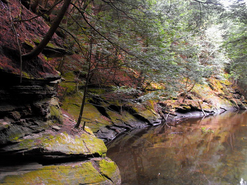 travel trees reflection tree tourism rock wisconsin forest landscape woods scenic reflect wi wisconsindells dells wisconsinriver rockformations gulch rivertour rockformation tourboat evergreentrees boattour witchesgulch scenictour wisconsindellswi sandstonerock wisconsindellsboattours