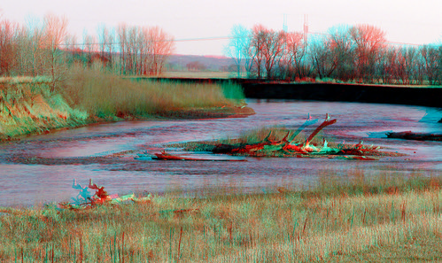 tree water rural creek river stereoscopic 3d spring weeds farm branches rustic scenic anaglyph iowa driftwood redcyan 3dimages 3dphoto 3dphotos 3dpictures stereopicture