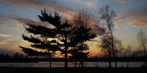 park trees sunset ontario canada silhouette clouds peterborough littlelake beavermead vosplusbellesphotos