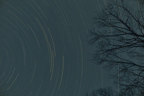 sky tree night stars ma star tripod trails astronomy startrails duxbury 02332 d700