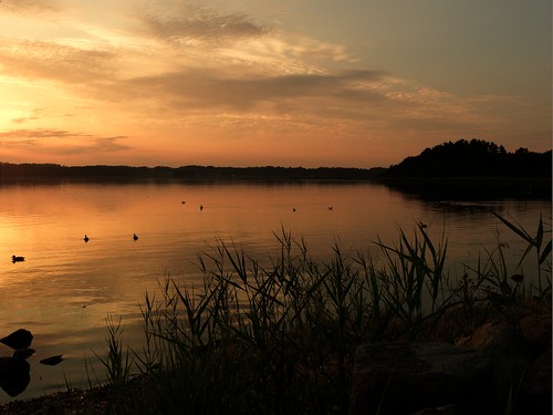 sunset orange reflection water denmark ducks danmark amazingcolors mariagerfjord