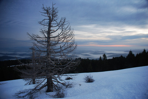 snow tree oregon sunrise coast peak marys range maryspeak chris10eyck