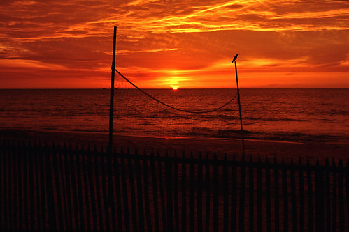 sunset bird net beach 1993 srilanka leicam6 negombo