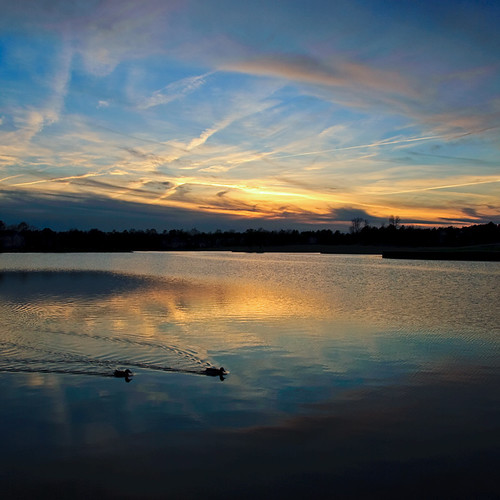 sunset lake swim virginia ducks wyndham skynoir bybilldickinsonskynoircom