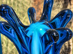 Chihuly: The Nature of Glass