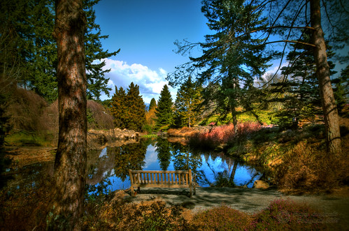 park lake festival forest reflections bench geotagged japanese empty romantic cheeryblossom vandusengarden janusz leszczynski 5946 geo:lon=123134758 intheheartofvancouver geo:lat=49238655