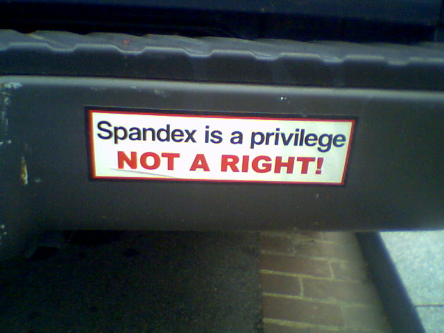 Spandex is a Privilege, Not a Right!, by Carly & Art