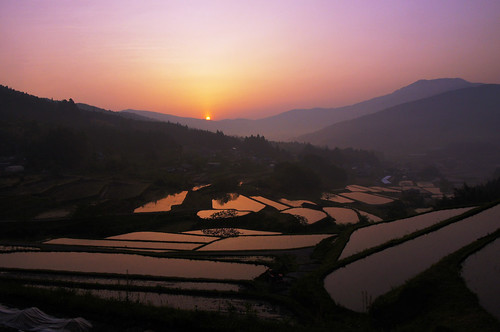 light red sky nature yellow japan sunrise landscape asia rice sony alpha hdr 1735 a55 tamuron 坂折棚田 slta55