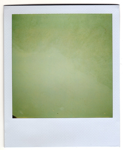 green texture wall polaroid 600 roidweek09
