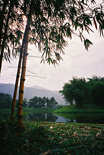 trees lake reflection landscape asia fuji dana bamboo malaysia finepix s9500 ipoh iwachow