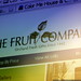 site: the fruit company   hot seat   panel seo critique   sempdx searchfest 2009    MG 0229
