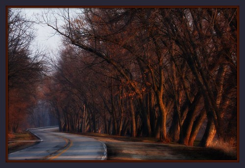 road trees sunlight beautiful sunrise effects scenery bright perspective scenic lightning title myfavorites viewpoint enhanced thebluehour winnebagocounty fieldandstream titlecompany lookspainted simplyperfect thewholecaboodle closetoreality scenicsnotjustlandscapes