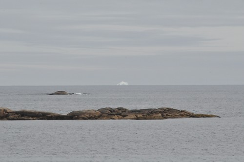newfoundland labrador iceberg