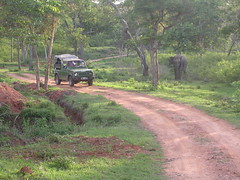 Open Jeep Safari