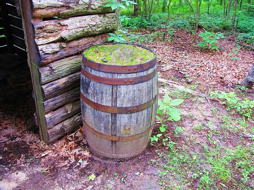 statepark park wood old travel trees usa green nature canon landscapes daylight moss scenery view state tennessee south country barrel peaceful powershot historic logcabin daytime tranquil sx10is waltphotos