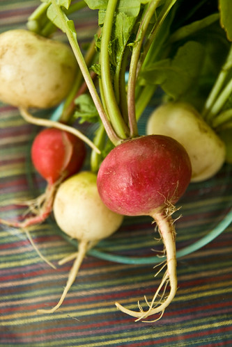 Health benefits of radish