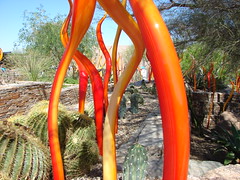 Chihuly: The Nature of Glass