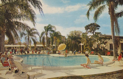 pool vintage stpetersburg florida postcard motel palmtree aaa qualityinn cocoanutgrove