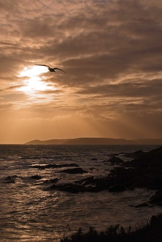 sunset sea geotagged rocks seagull devon sunbeams plymouthsound impressedbeauty geo:lon=4103308 geo:lat=50315106