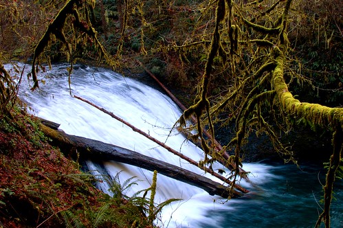 wood water oregon creek waterfall moss stream silverton silverfalls lowernorthfalls