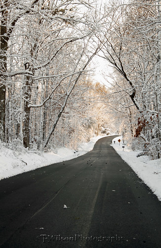 road trees winter snow landscape virginia pavement