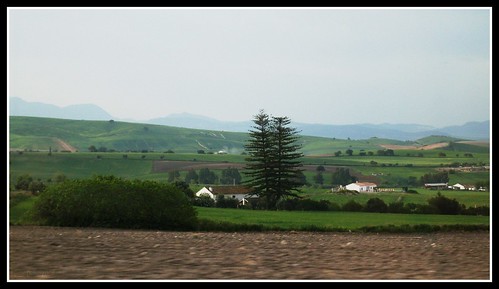 españa landscape sevilla andalucía spain europa europe paisaje montellano