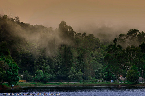 trees india mist lake nature water clouds landscape f5 tamilnadu kodaikanal
