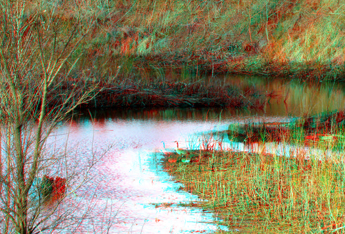 wild tree bird water river geese stereoscopic 3d spring weeds farm rustic scenic anaglyph iowa redcyan 3dimages 3dphoto 3dphotos 3dpictures