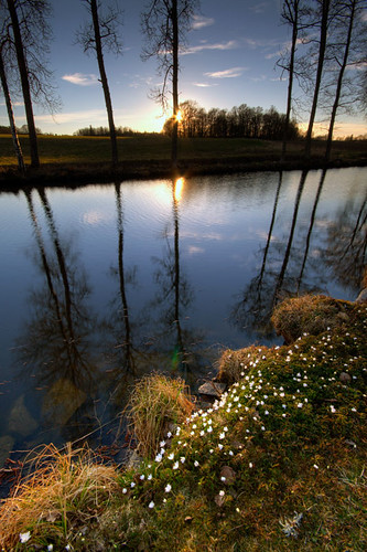 trees sunset reflections river canal sweden sverige hdr anemonenemorosa östergötland kindakanal sigma1020mmf456exdchsm sturefors johanklovsjö hovetorp