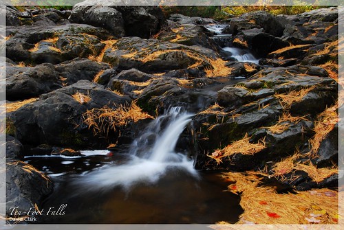 autumn orange fall nature up pine waterfall michigan waterfalls needles upperpeninsula coppercountry keweenaw glap