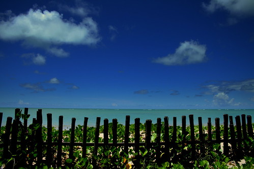 blue sky sol praia beach água azul clouds cores mar plantas areia blu bessa paisagem grade céu explore joãopessoa nuvens cerca madeira paraíba cercado tagmania vegetaçao duetos frenteafrente fabianavelôso
