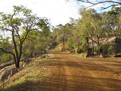 Mahogany Creek Line
