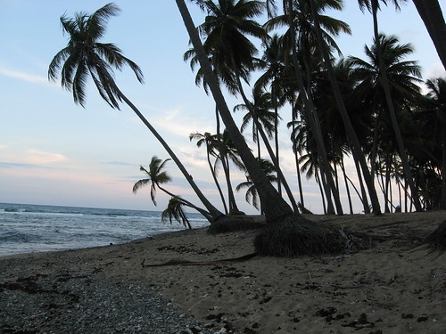 sunset landscapes puertorico beaches caribbean patillas caribeplayabeachresort
