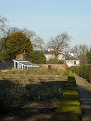 Darwin's garden