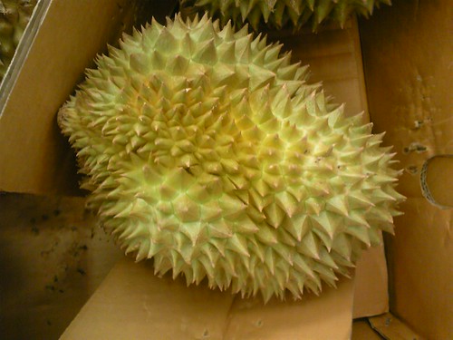 Durian ドリアン