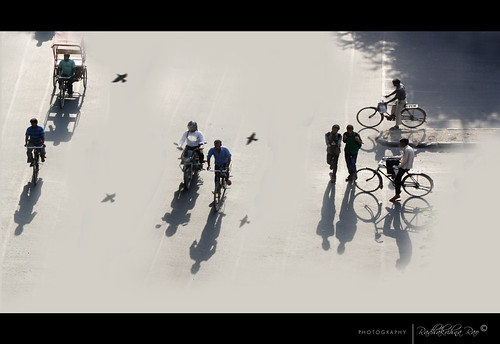 street shadow collage duty morningglory birdview