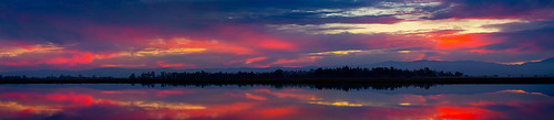 california sunset clouds reflections rice fields flooded sacramentovalley