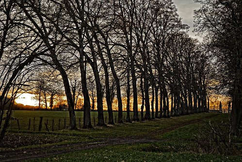 sunset landscape nikon burgundy chateau paysage bourgogne parc allée côtedor auxois d3100 marignylecahouët