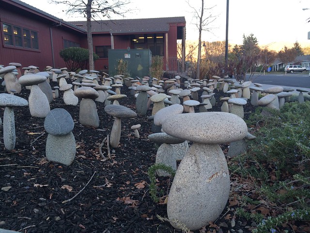 Rock Mushroom Garden, Rich Botto