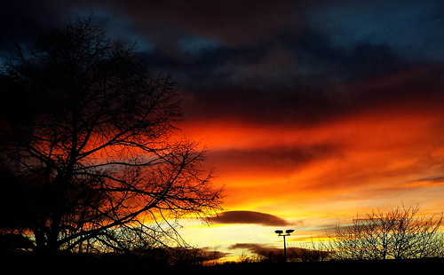 sunset sky sun tree silhouette night clouds colours blues oranges s4 nicesky blinkagain