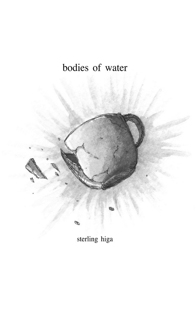 bodies_of_water_cover