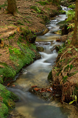 longexposure autumn trees tree water germany waterfall fallenleaves fallenleave autumnforrest klaracolor longshyutterspeed