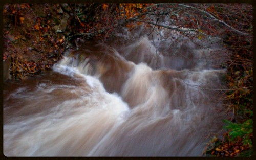 autumn storm fall water rain weather creek river geotagged nc stream rainfall precipitation dillingham movingwater 2013 bigivy