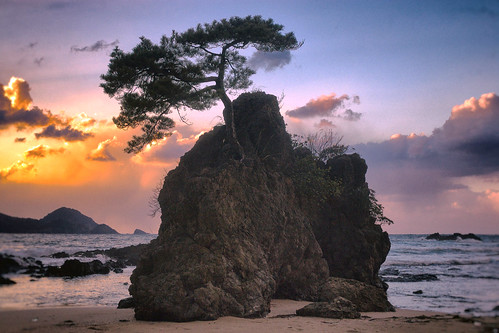 bay japan sea sunset rockreef rock reef pine 湾 日本 海 日本海 夕 夕暮れ 岩礁 岩 松 島根 玉結