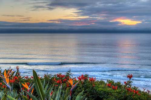 2017 winter sunset flowers pacific ocean surfing surfers lagunaniguel ca og hdr