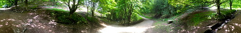 england panorama woods malvern worcestershire greatmalvern malvernhills heartofengland sunlightthroughtrees