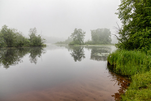 morning flowers trees mist lake nature water fog island day shore wi hdr highfallsflowage canonefs1585mmf3556isusm
