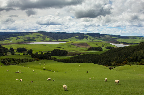 new travel newzealand green clouds rural landscape countryside scenery day sheep cloudy hills zealand nz southisland scapes southlands curiobay projectweather greystump nzsouthlands infinitexposure copyrightcolinpilliner