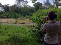 Ruth shooting hippos